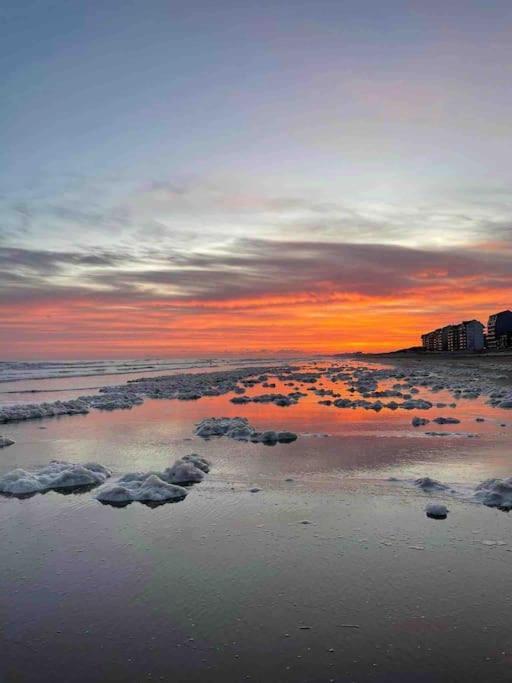 Face A La Mer, Appartement Rdc Bray Dunes 外观 照片