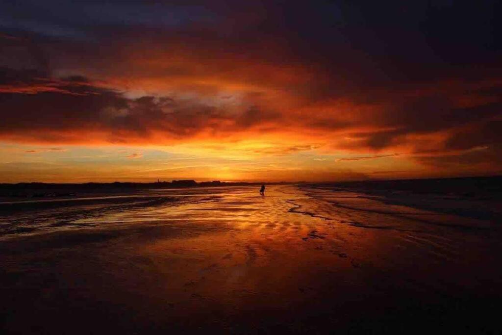Face A La Mer, Appartement Rdc Bray Dunes 外观 照片