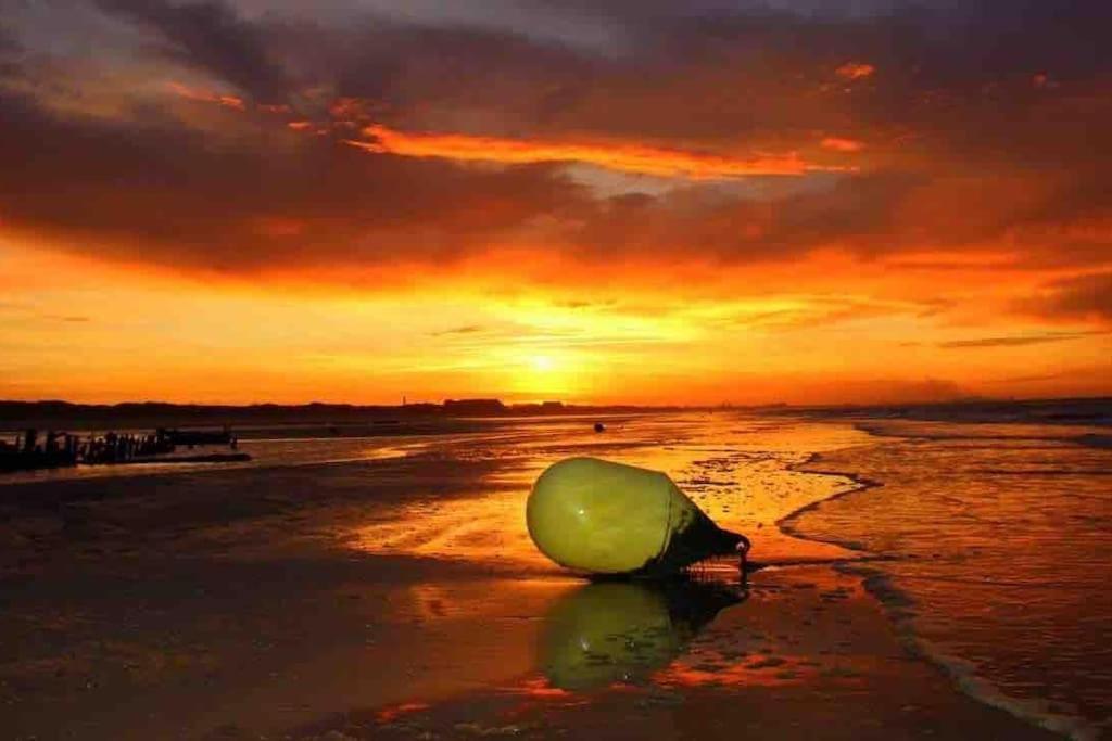 Face A La Mer, Appartement Rdc Bray Dunes 外观 照片